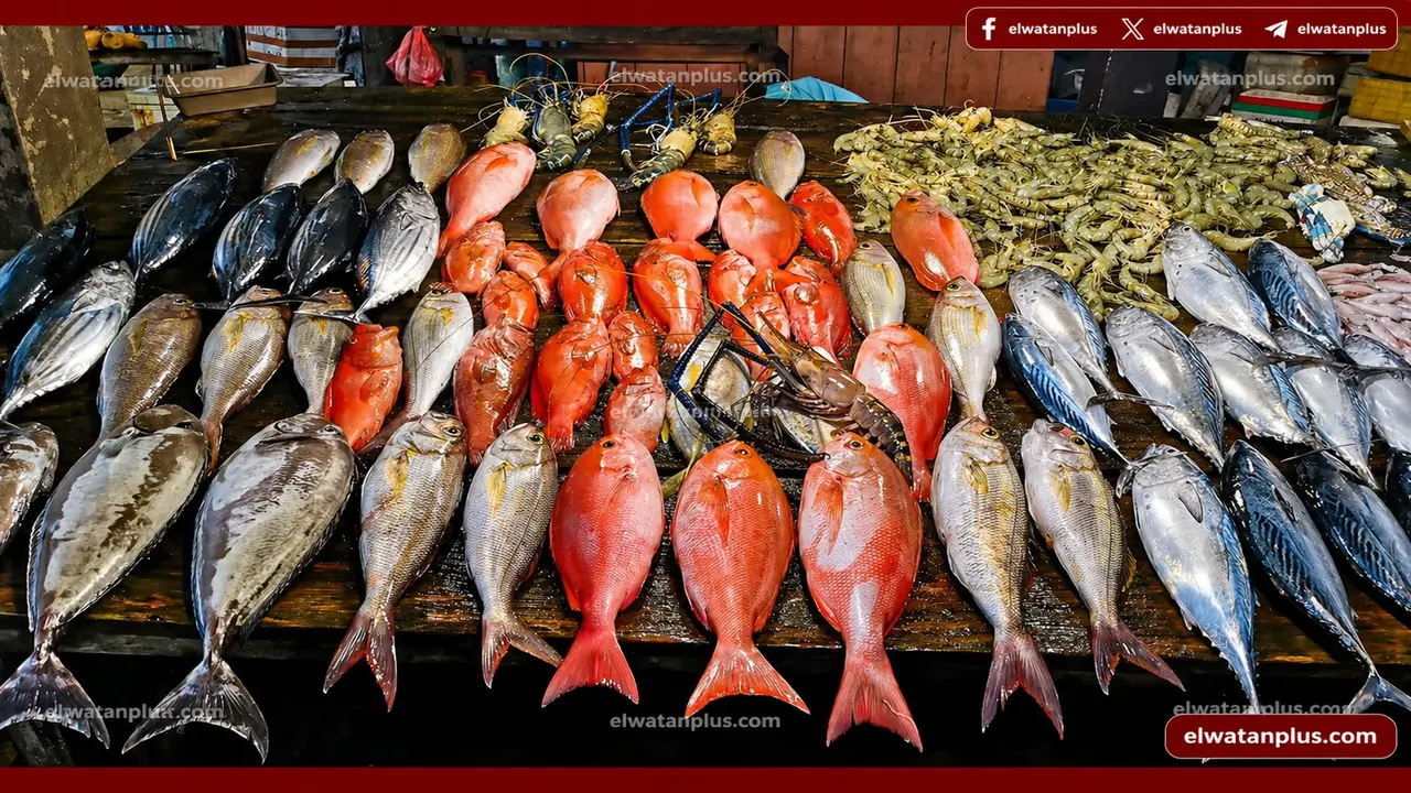 استقرار أسعار الأسماك في مصر اليوم 27 أبريل مع توازن المعروض بالسوق